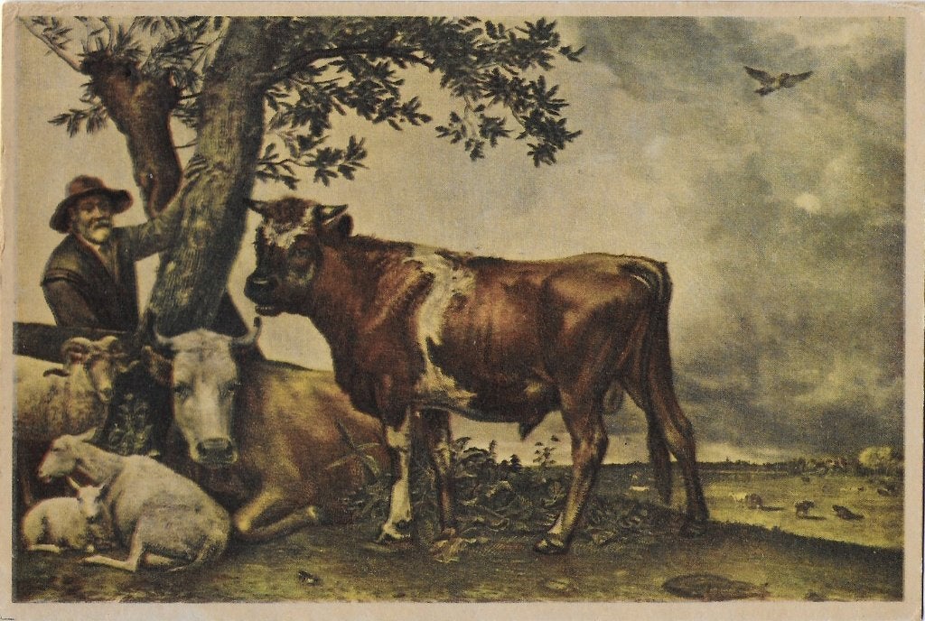 Paulus potter de jonge stier ongelopen ansichtkaart (139), Ophalen of Verzenden, 1960 tot 1980, Ongelopen