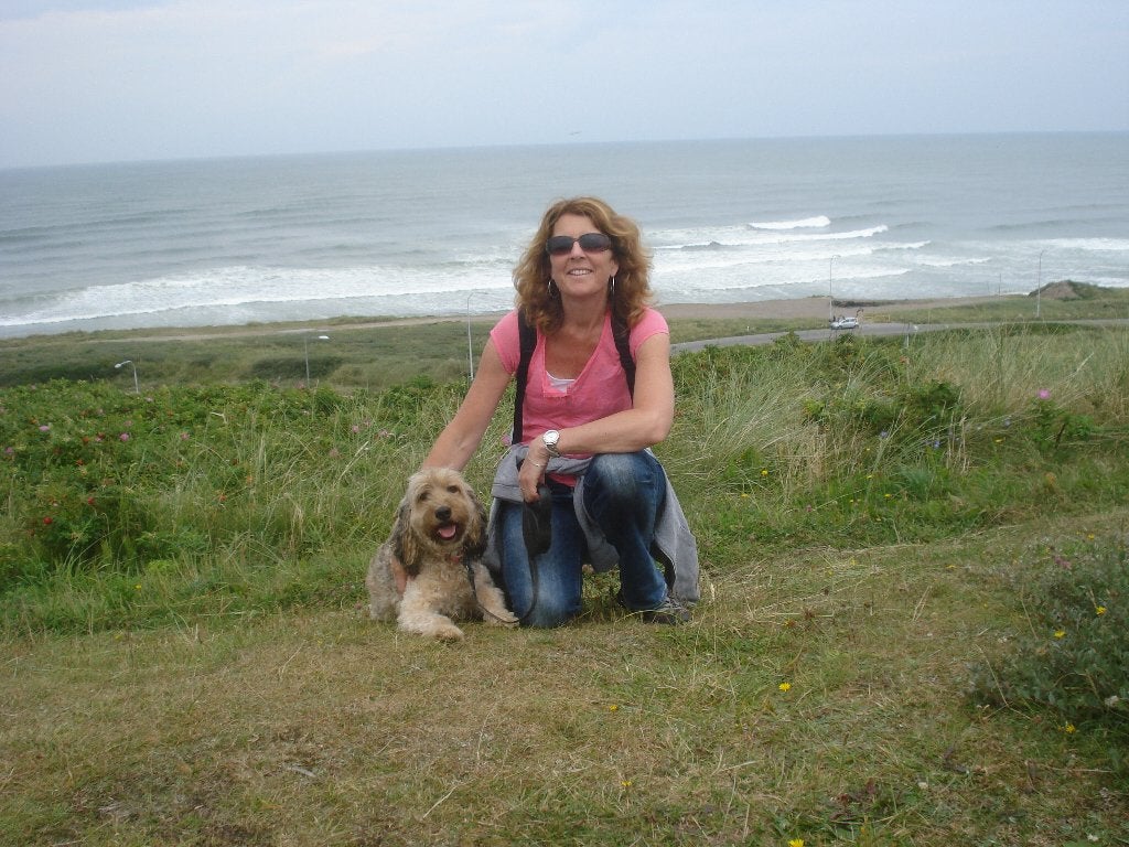 Liefdevolle hondenoppas Scheveningen, Diensten en Vakmensen, Dieren | Honden | Verzorging, Oppas en Les, Uitlaatservice