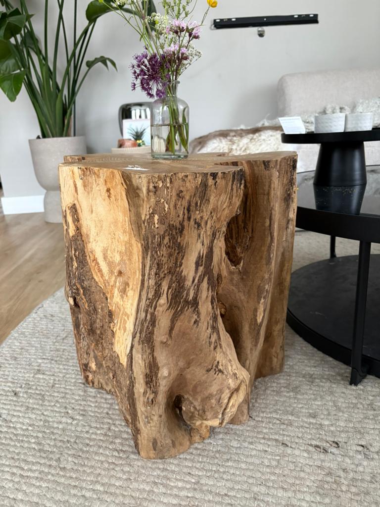 Uniek stuk boomstam, Minder dan 55 cm, Rond, Zo goed als nieuw, Hout