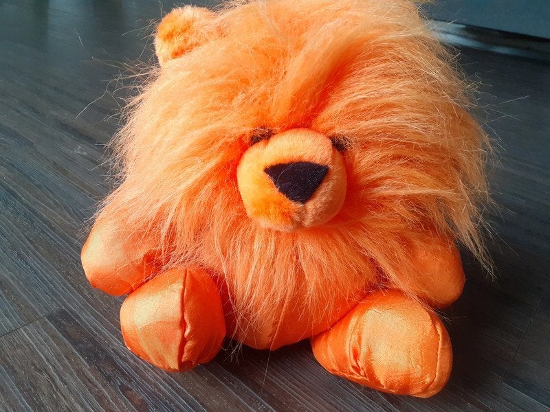 Oranje leeuw., Ophalen of Verzenden, Overige typen