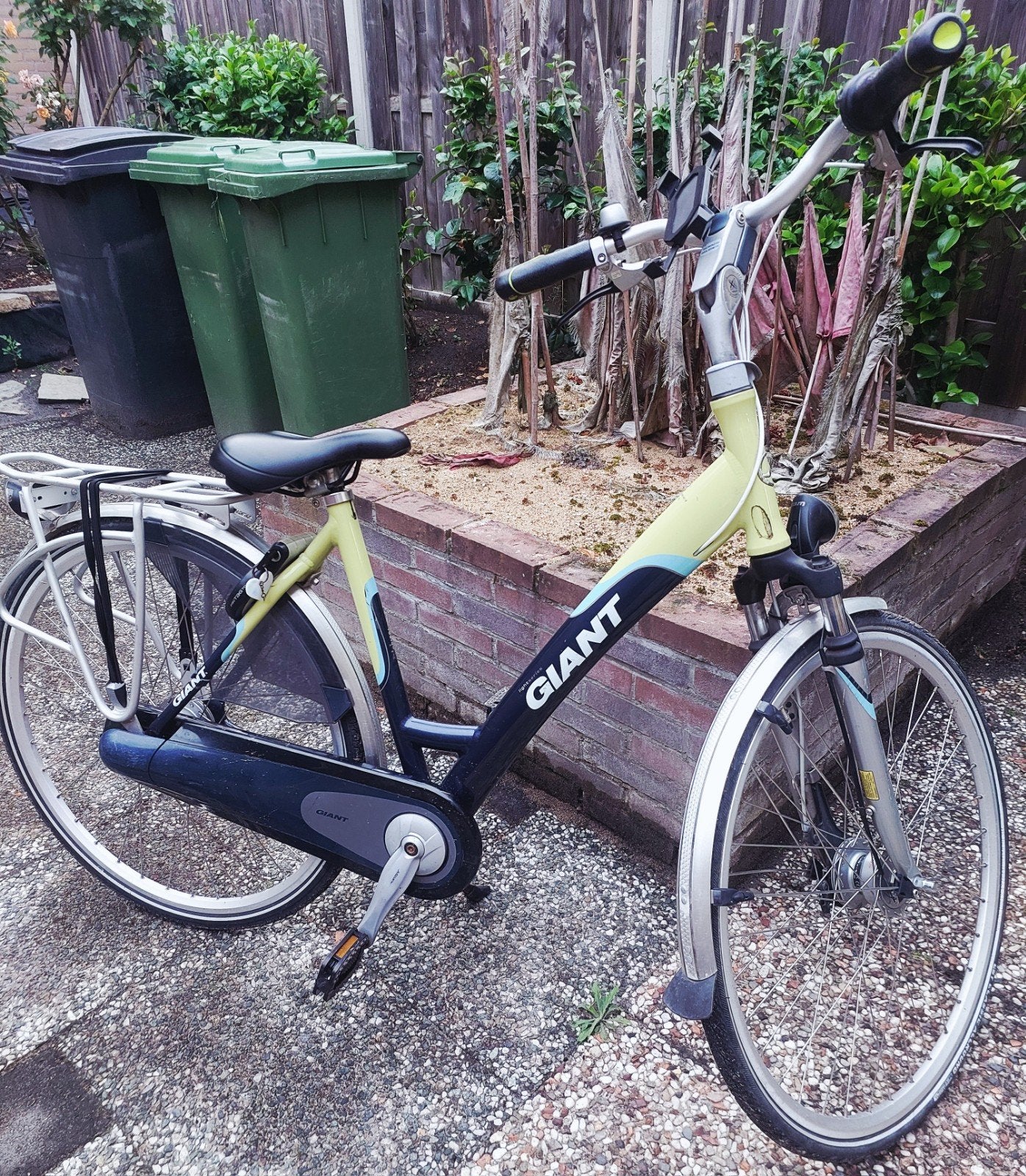 Giant Damesfiets - Comfortabel en Betrouwbaar, Velgrem, Versnellingen, 53 tot 56 cm, Gebruikt