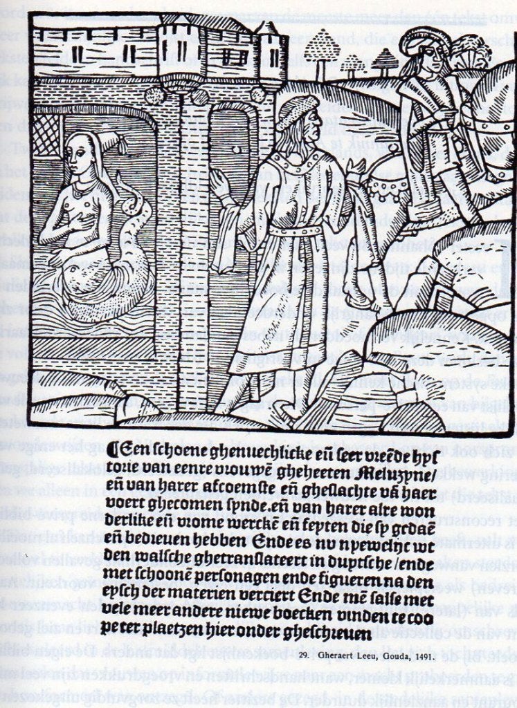 Schenkeveld - Nederlandse literatuur, een geschiedenis, Ophalen of Verzenden, Nieuw, Natuurwetenschap