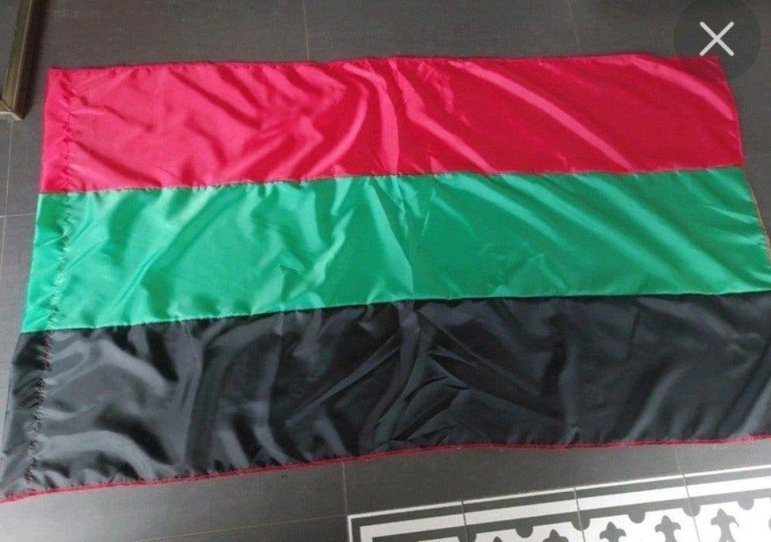 nieuwe NEC Nijmegen vlag, Ophalen of Verzenden, Nieuw