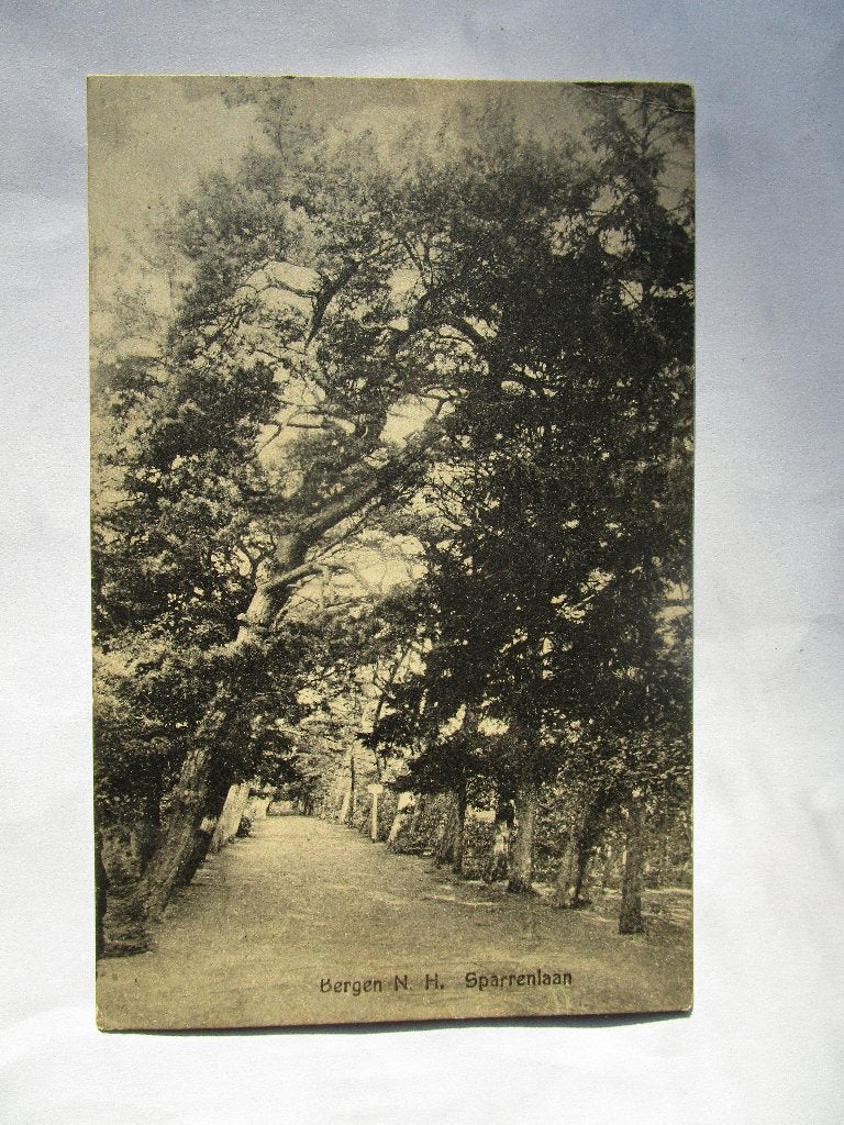 Ansichtkaart Bergen N.H Sparrenlaan 1928, Verzenden, 1920 tot 1940, Gelopen, Noord-Holland