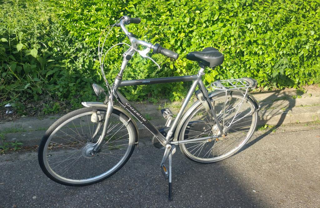 Gazelle Davos heren fiets - Comfortabele stadsfiets, Fietsen en Brommers, Fietsen | Dames | Damesfietsen, Velgrem, Versnellingen