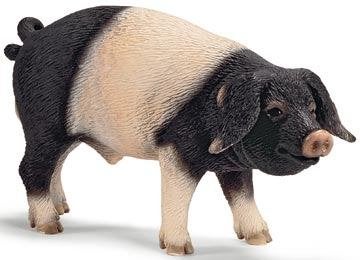 Schleich 13643 schw hall varken, dierfiguur, Verzamelen, Dierenverzamelingen, Verzenden, Gebruikt, Boerderijdier, Beeldje of Figuurtje