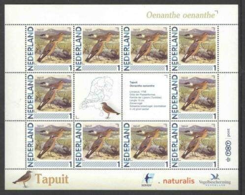 Vogels in Nederland Vel Tapuit, Ophalen of Verzenden, Postfris