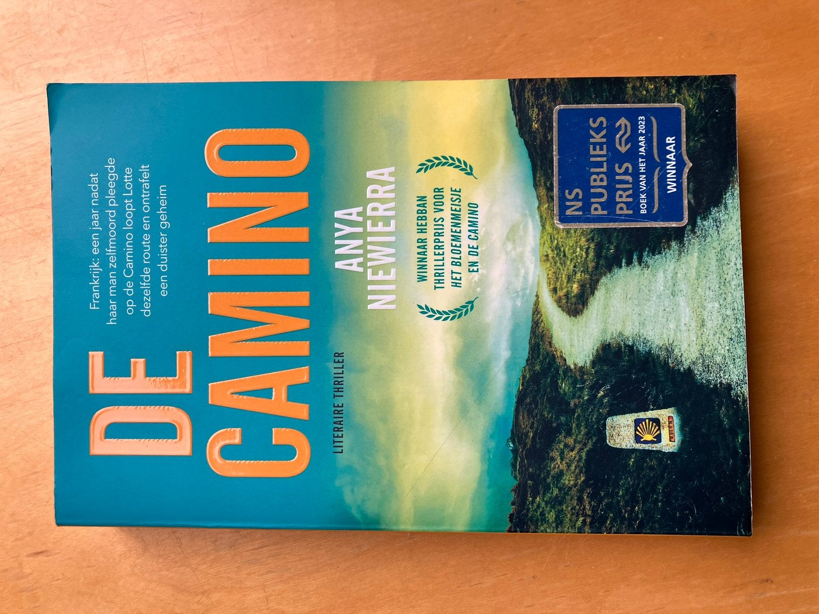 De Camino - Anya Niewierra (NS Publieksprijs 2023), Boeken, Ophalen of Verzenden, Zo goed als nieuw, Nederland, Anya Niewierra