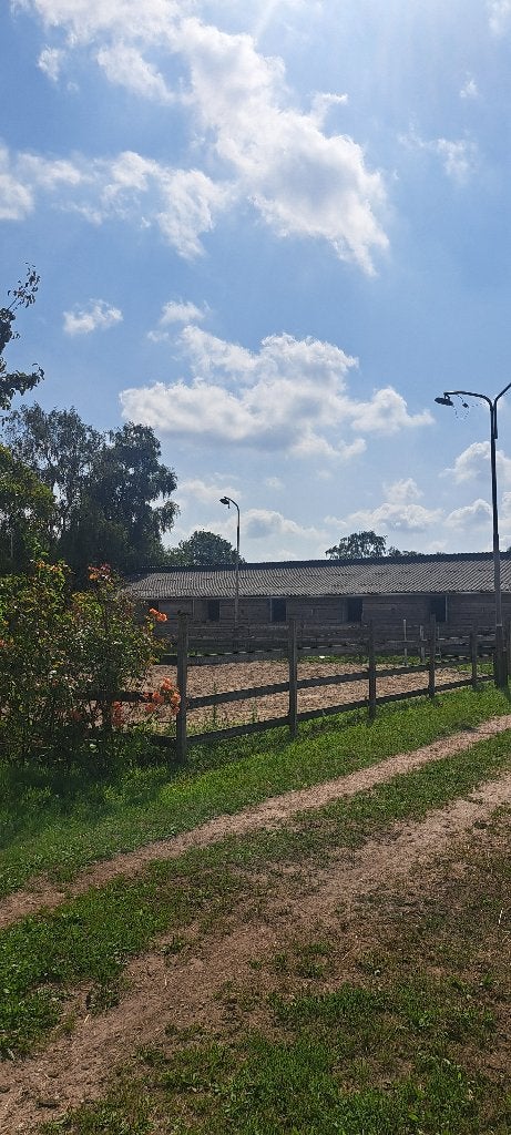 2 stallen vrij op privestal, Weidegang, 2 of 3 paarden of pony's