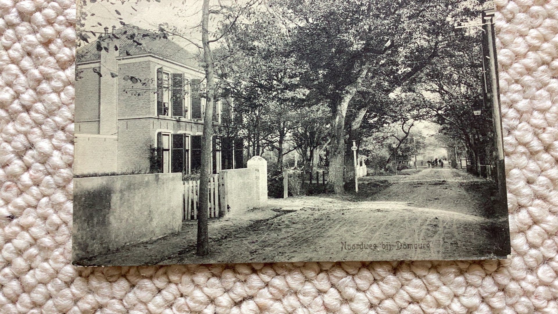 Ansichtkaart Noordweg bij Domburg 1912. 990, Verzamelen, Ansichtkaarten | Nederland, Ophalen of Verzenden, Voor 1920, Gelopen
