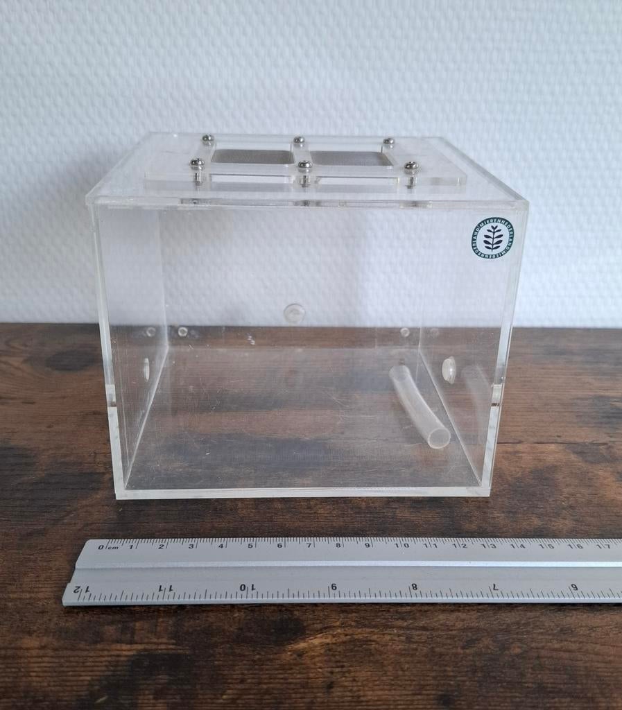 Grote arena ca. 15×15×15, buitenwereld, mieren 10mm ingang, Dieren en Toebehoren, Mieren
