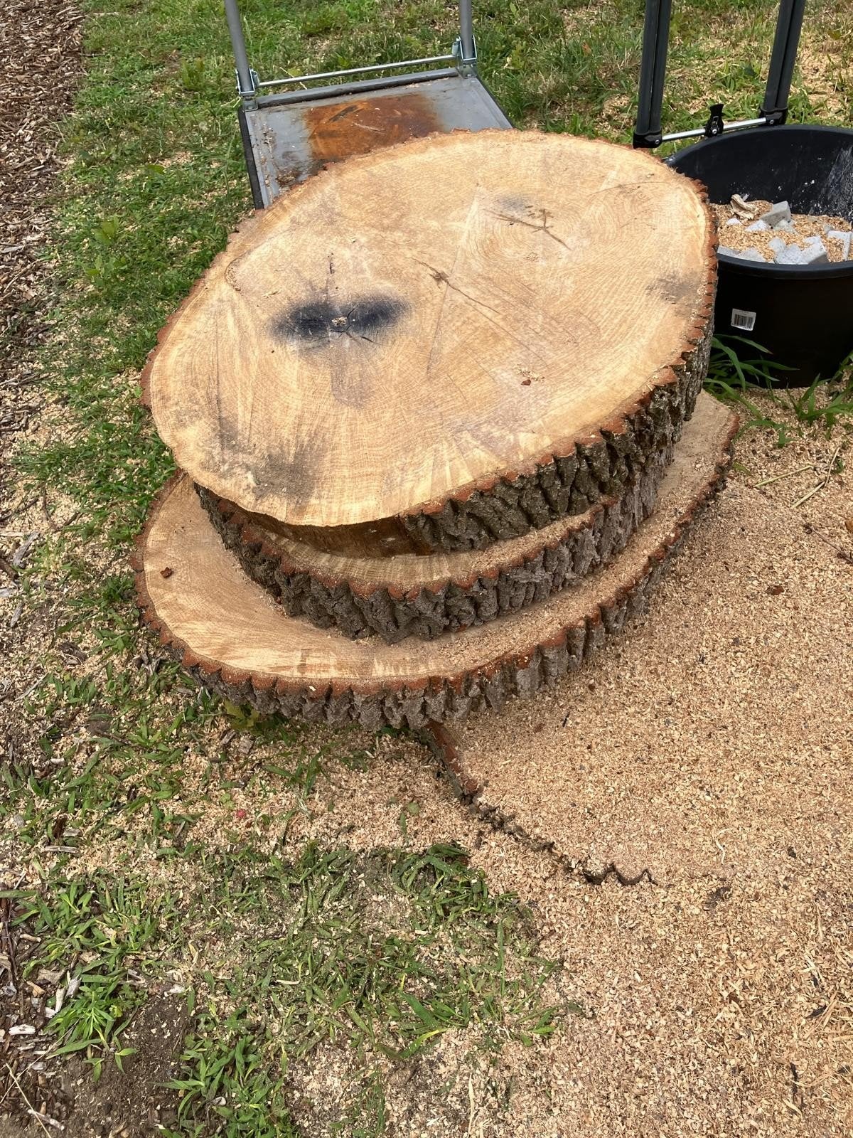 Vers gezaagde eiken boomstamplakken voor tafeltje, Doe-het-zelf en Verbouw, Hout en Planken, Ophalen, Eiken, Overige typen, Nieuw