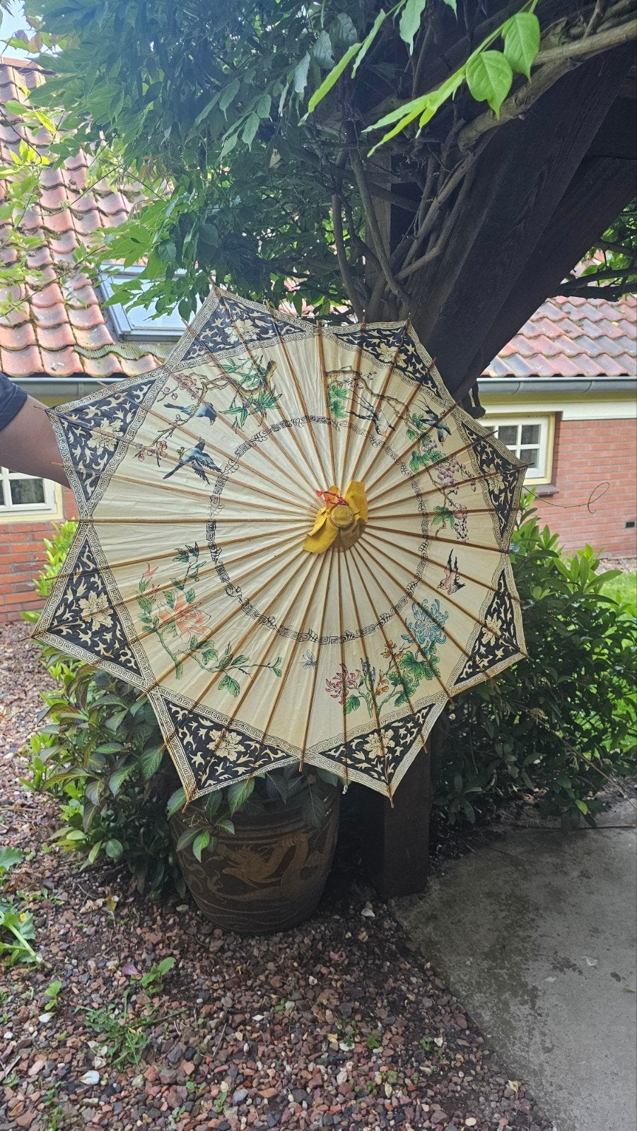 Chinese paraplu, Ophalen of Verzenden