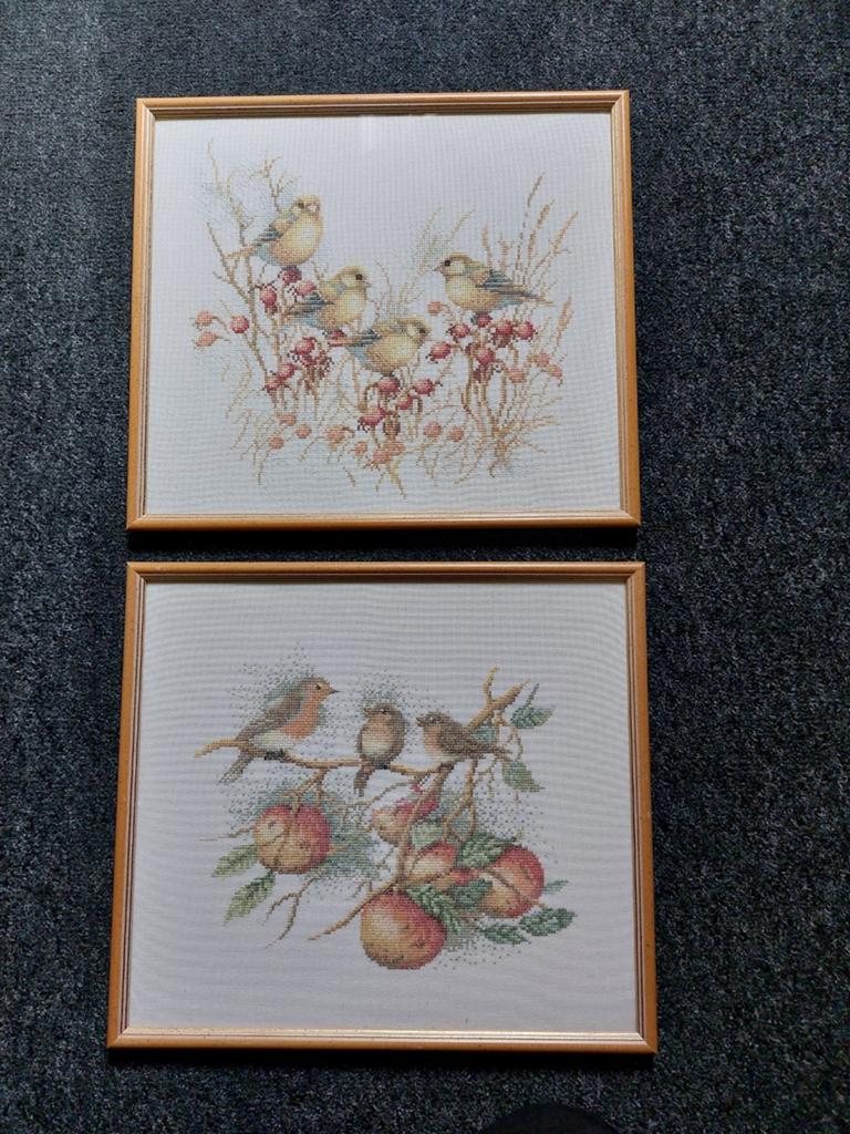 2 Geborduurde Schilderijen met Vogels en Fruit, Ophalen, Minder dan 50 cm, Zo goed als nieuw, Schilderij