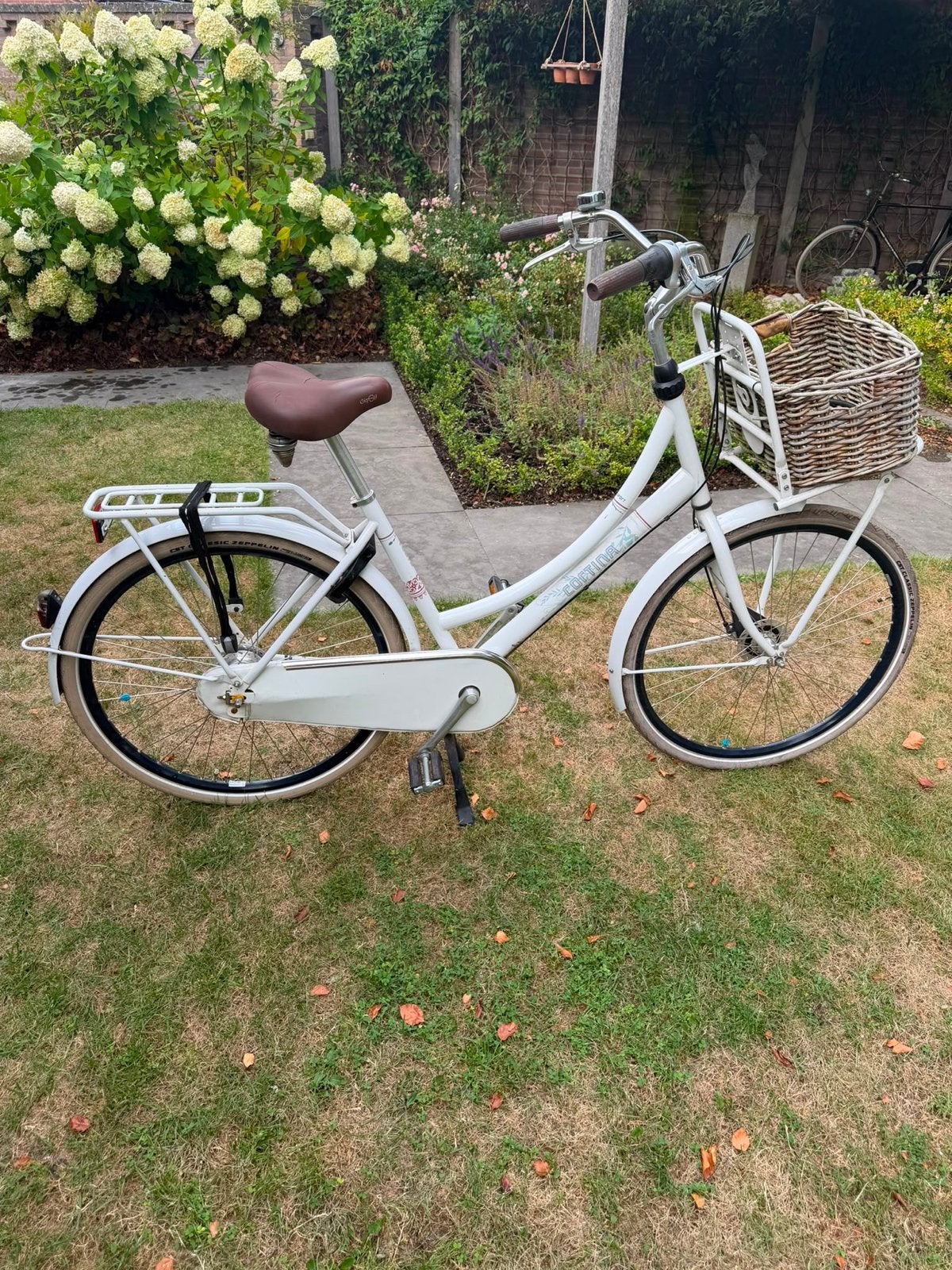 Cortina fiets met mand, Terugtraprem, (Extra) lage instap, Zo goed als nieuw, 50 tot 53 cm