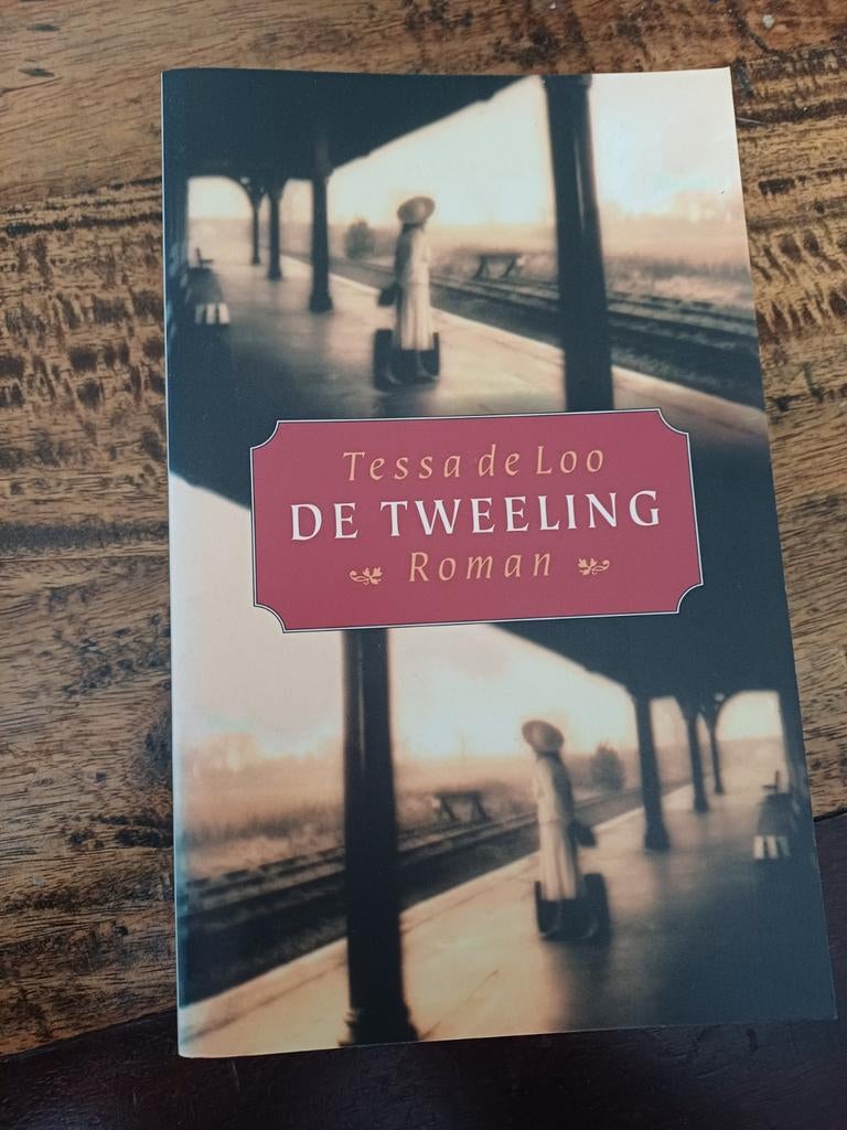 Tessa de Loo - De tweeling, Ophalen of Verzenden, Zo goed als nieuw, Tessa de Loo