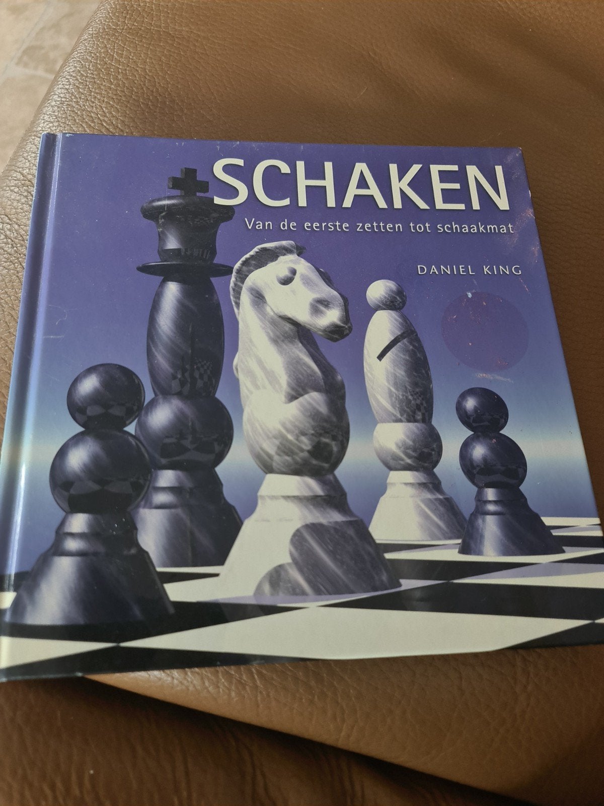 Schaken: Van de eerste zetten tot schaakmat - Gebonden boek, Ophalen of Verzenden, Overige onderwerpen, Geschikt voor kinderen