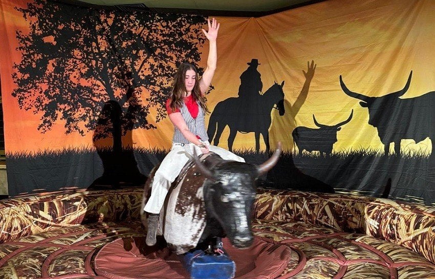 rodeostier huren?, Hobby en Vrije tijd, Verzenden, Zo goed als nieuw, Overige