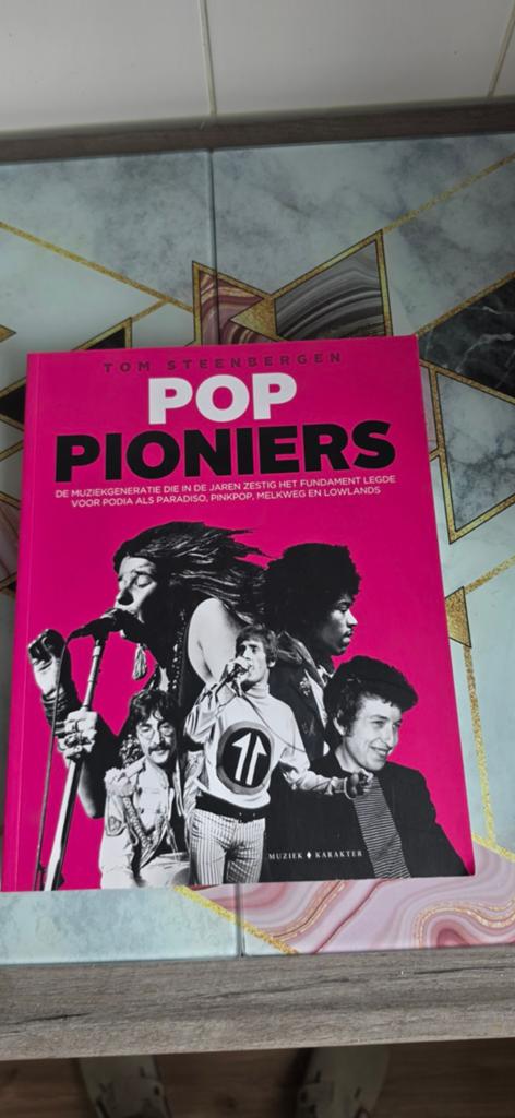 Tom Steenbergen - Poppioniers, Boeken, Muziek, Zo goed als nieuw, Artiest, Ophalen of Verzenden