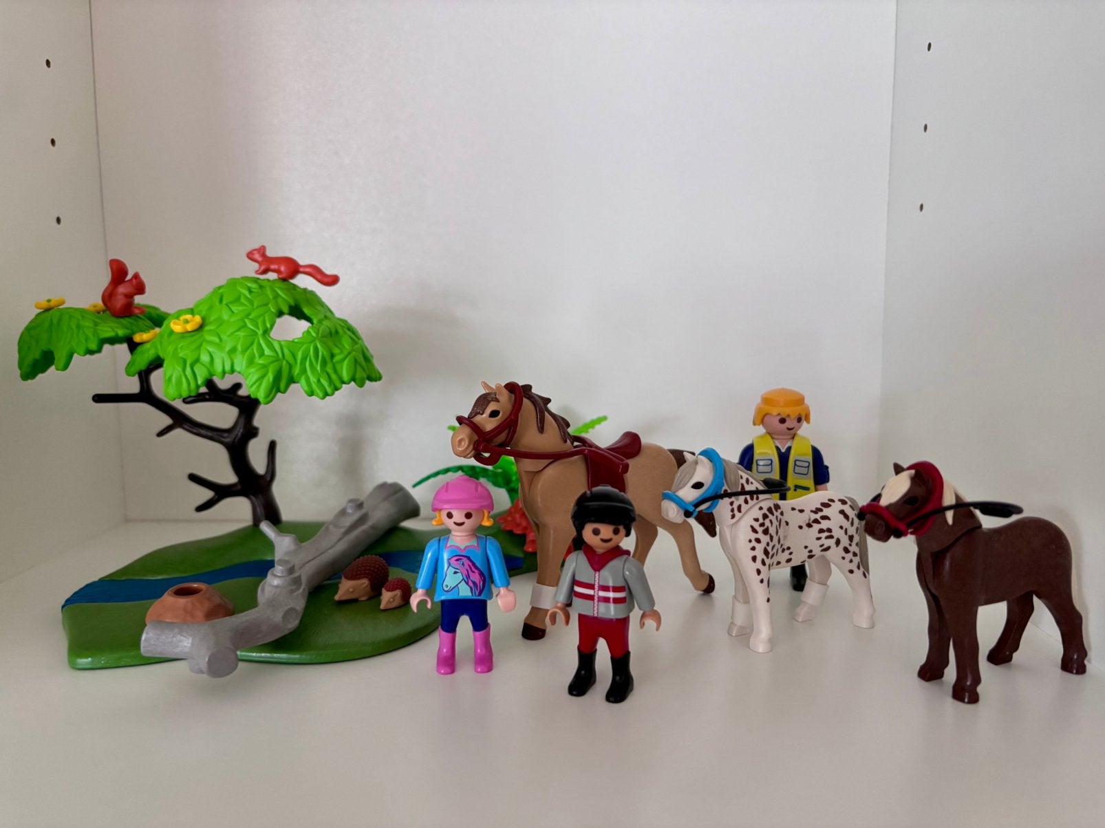 Paardrijles Pony Playmobil 6947
