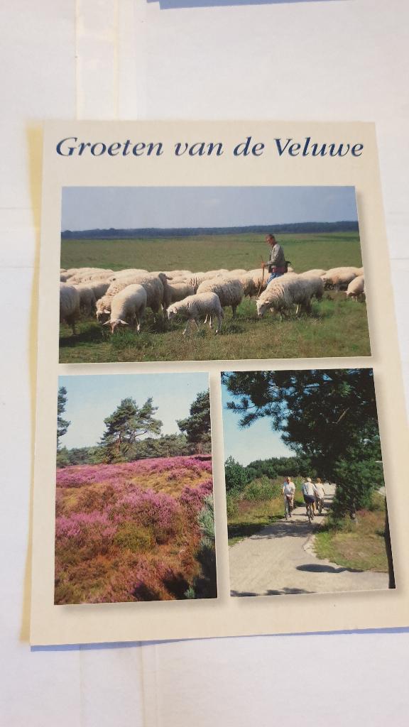 1195 nederland groeten van de veluwe, Verzenden, Voor 1920, Gelderland
