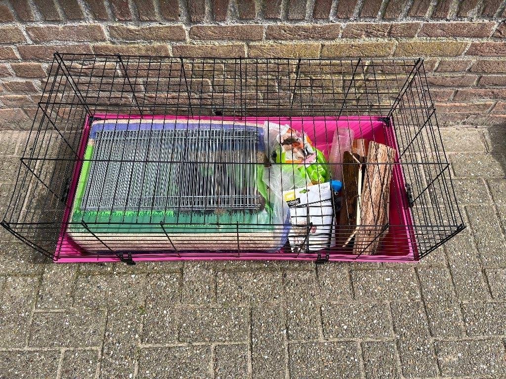 Caviakooi inclusief toebehoren, Dieren en Toebehoren, Kooi, Gebruikt, 75 tot 110 cm, Cavia