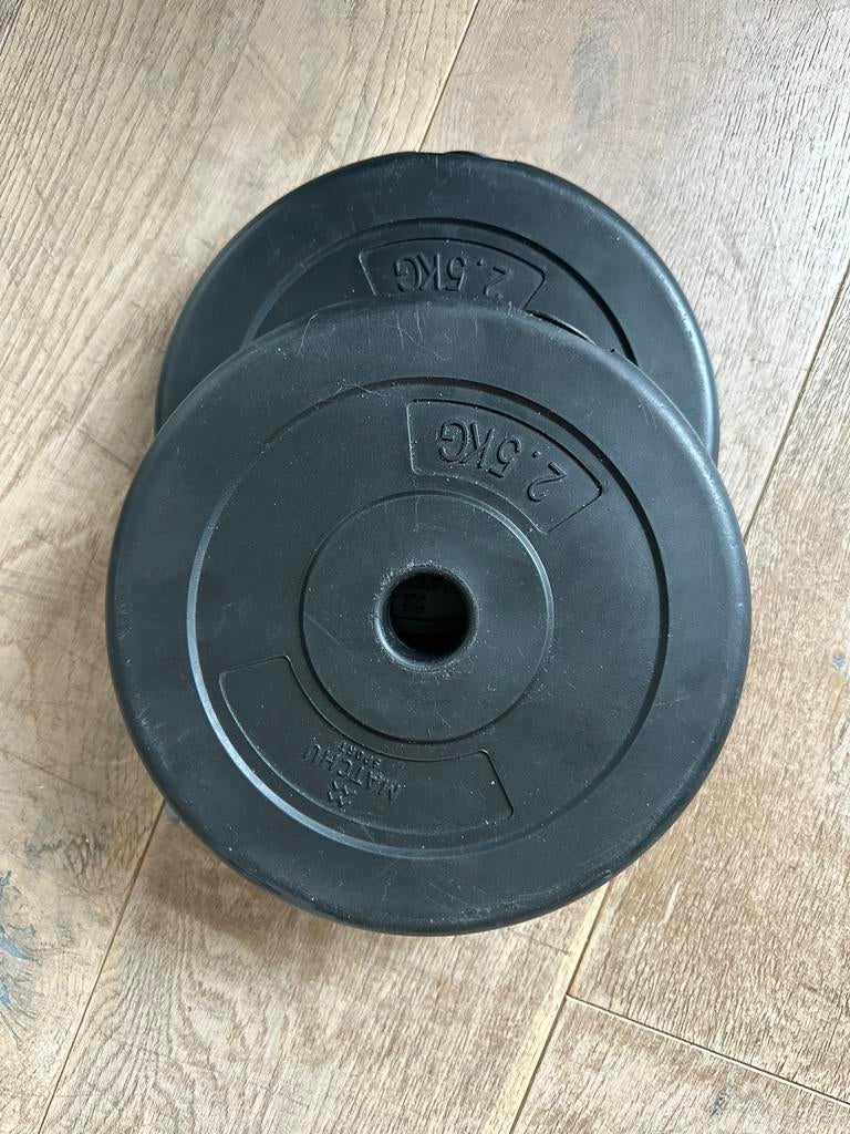 2 Halterschijven 2,5 kg - Ideaal voor krachttraining, Ophalen, Gebruikt, Armen, Halterschijven