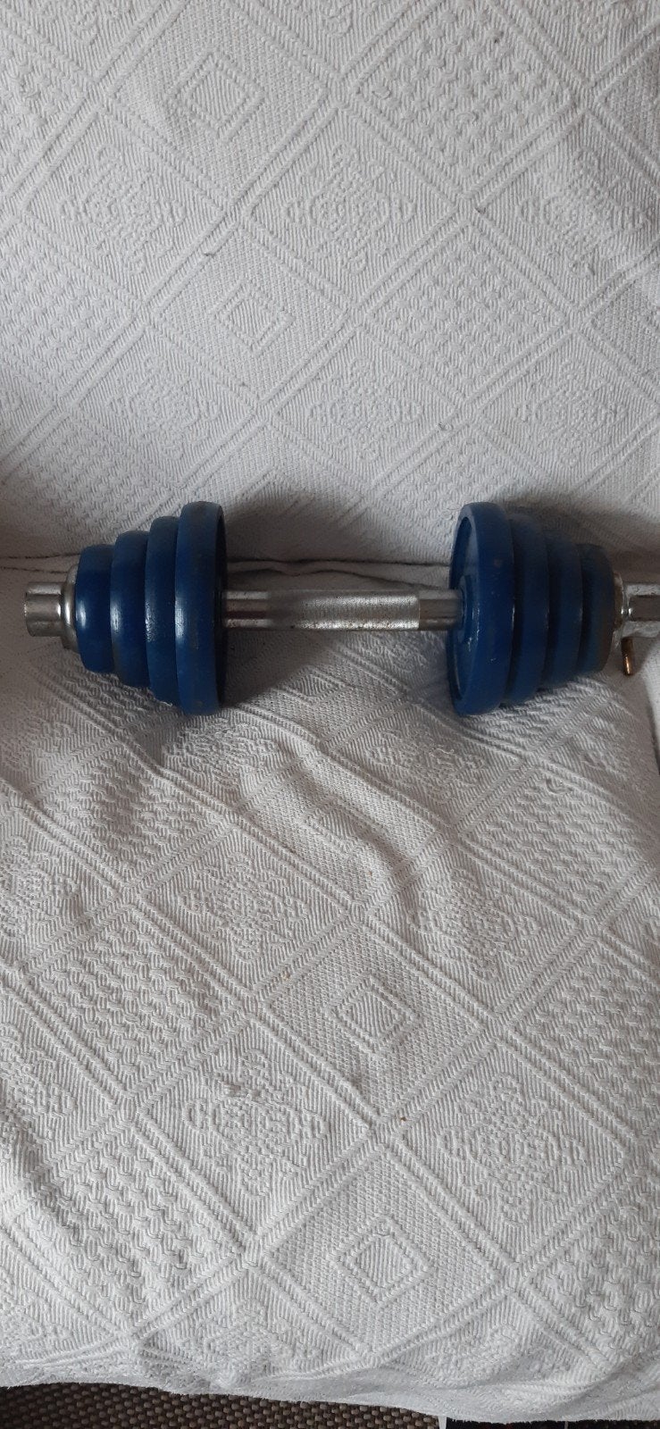 zware halter ,15 kilo, Sport en Fitness, Fitnessmaterialen, Ophalen of Verzenden