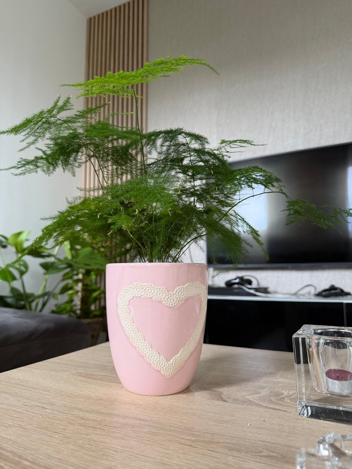 Asparagus echte kamerplant  in Roze bloempot met hart, Overige materialen, Minder dan 60 cm, Rond, Ophalen of Verzenden