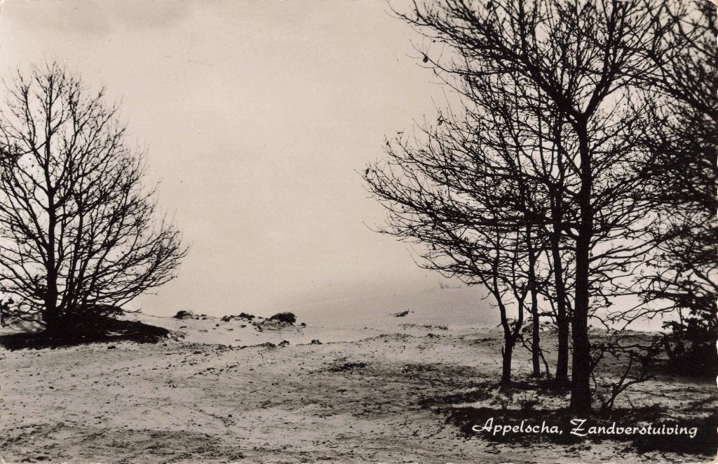 Appelscha Zandverstuiving L2981, Ophalen, 1960 tot 1980, Ongelopen, Friesland
