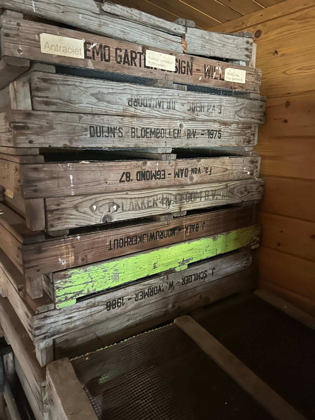 Vintage houten bloembollenkisten met gaasbodem, Ophalen, Gebruikt, Minder dan 30 cm, Binnen