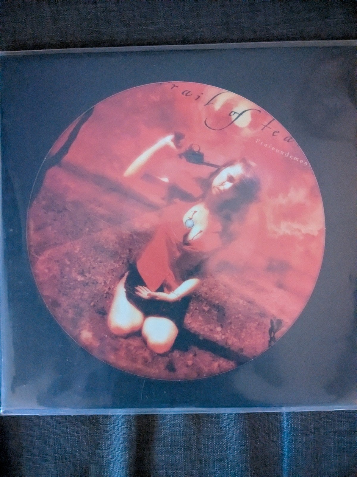 Trail of Tears - Profoundemonium lp pic disc, Ophalen of Verzenden, Zo goed als nieuw