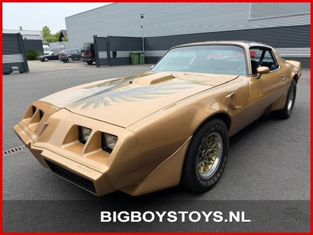 Pontiac Firebird 6.6 Trans Am Targa, Auto's, Automaat, Achterwielaandrijving, 6600 cc, 4 stoelen