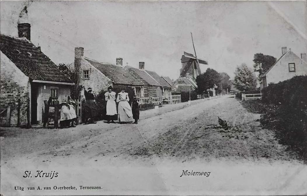 St. Kruis (Zeeland) – Molenweg met molen c. 1905, Ophalen of Verzenden, Voor 1920, Gelopen, Zeeland