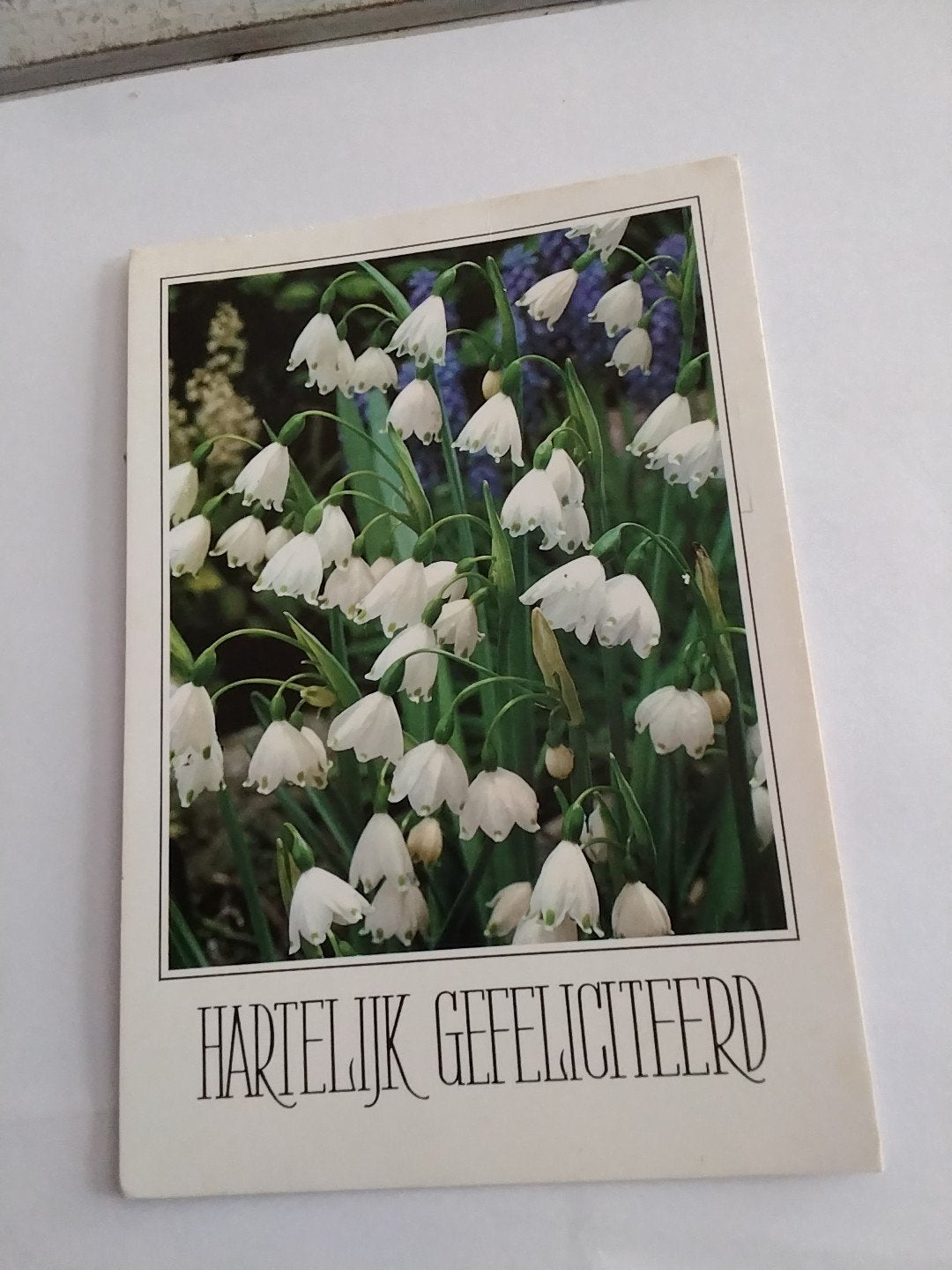 Oude ansichtkaart met sneeuwklokjes, Verzamelen, Ophalen of Verzenden, 1960 tot 1980, Gelopen