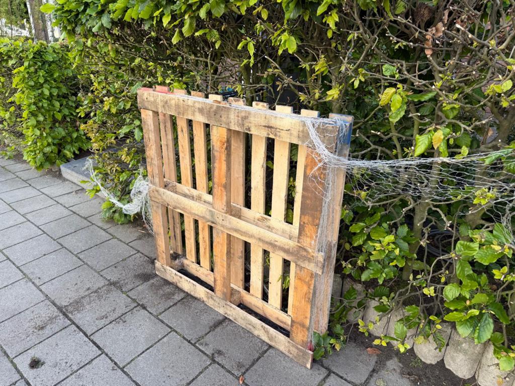 Pallet, Ophalen, Zo goed als nieuw, Minder dan 200 cm, Vuren