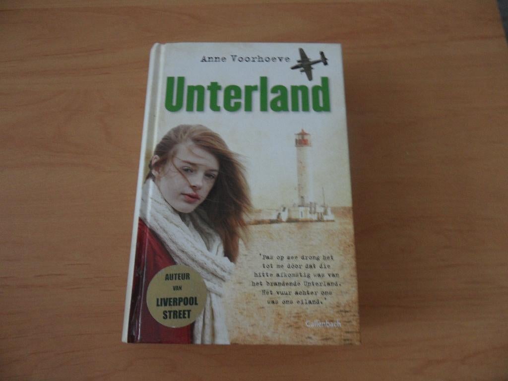 Unterland- Anne Voorhoeve, Boeken, Ophalen of Verzenden, Zo goed als nieuw