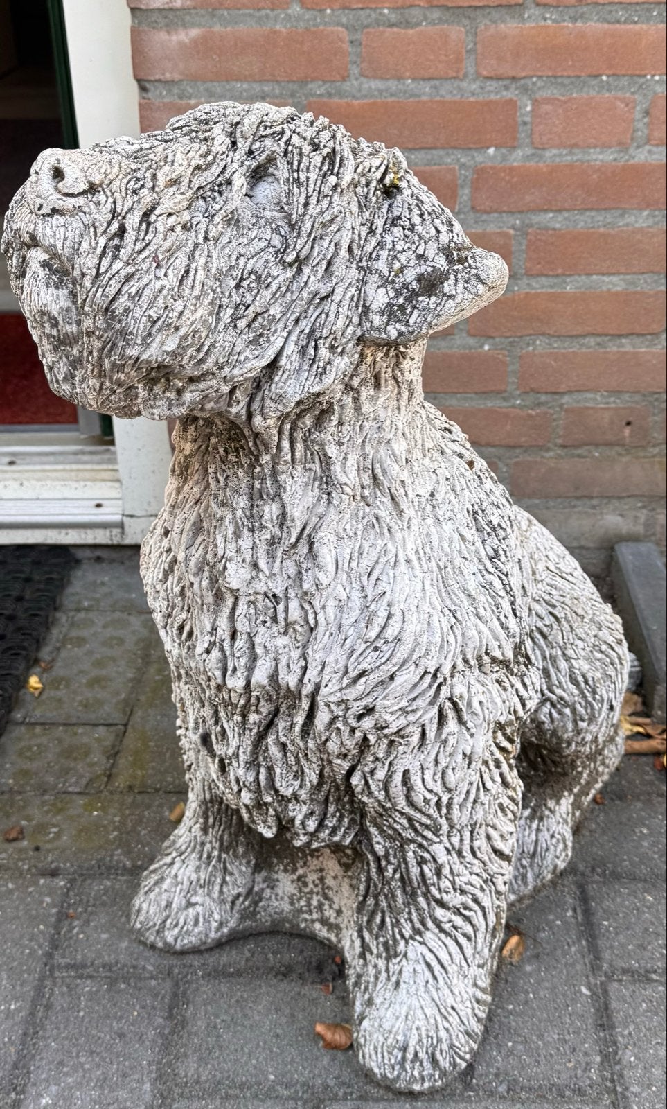 Beeld Irish soft coated Wheaten Terriër - Tuindecoratie Hond, Gebruikt, Ophalen of Verzenden, Landelijk, Grijs