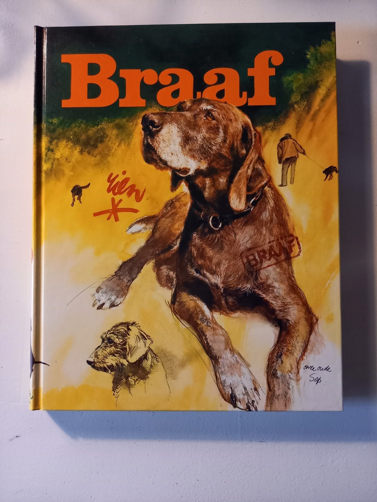 h28 Boek Braaf - Hondenboek met prachtige illustraties, Ophalen of Verzenden, Gelezen, Rien Poortvliet