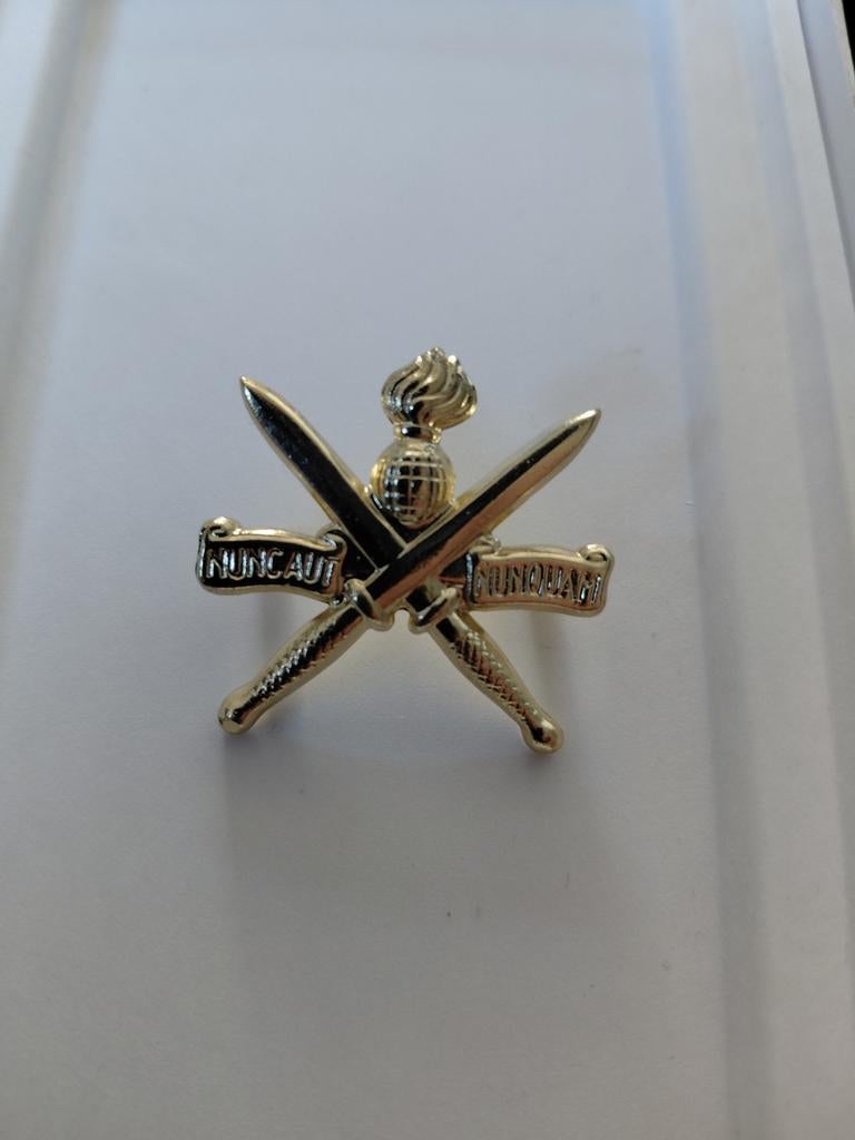 Kraagspiegelembleem Korps Commandotroepen (KCT), Geen idee, Ophalen of Verzenden, Nederland, Embleem of Badge