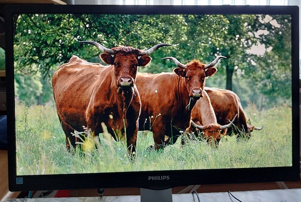 Philips monitor, Computers en Software, Monitoren, Ophalen, Gebruikt, Full HD, LED