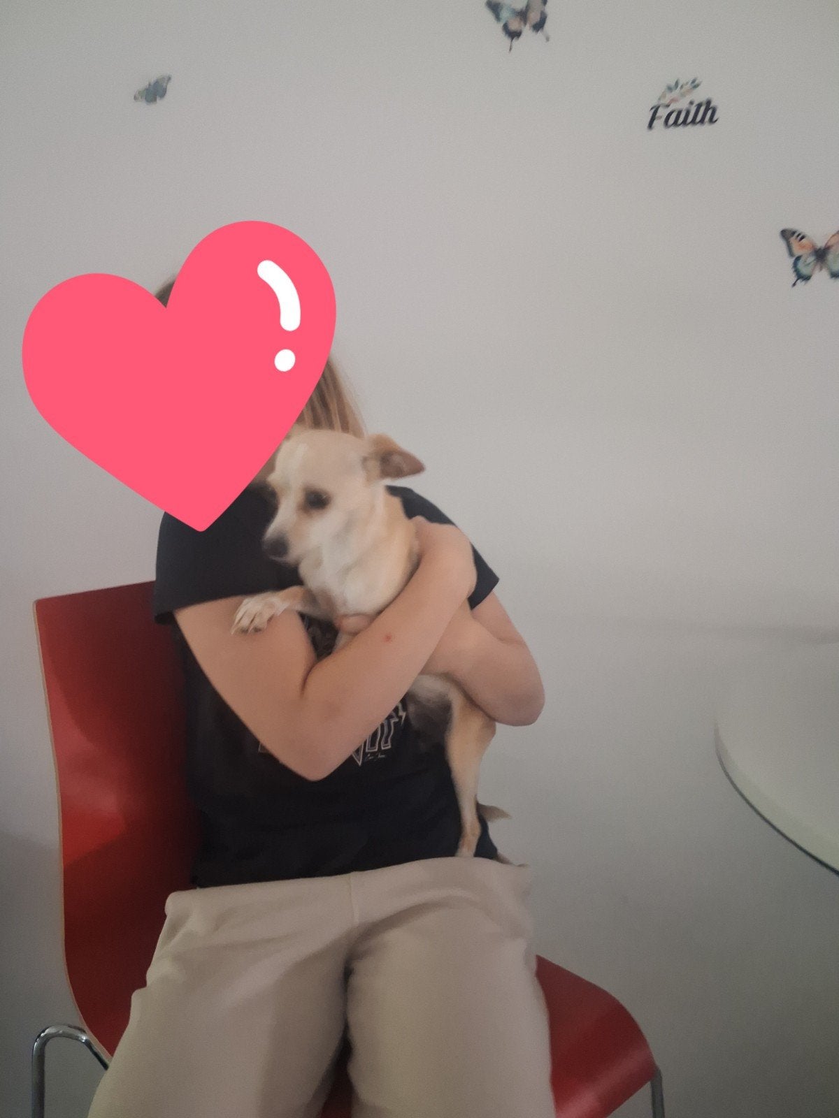 Hondje, Dieren en Toebehoren, Particulier, 15 weken tot 1 jaar, Overige rassen, Buitenland