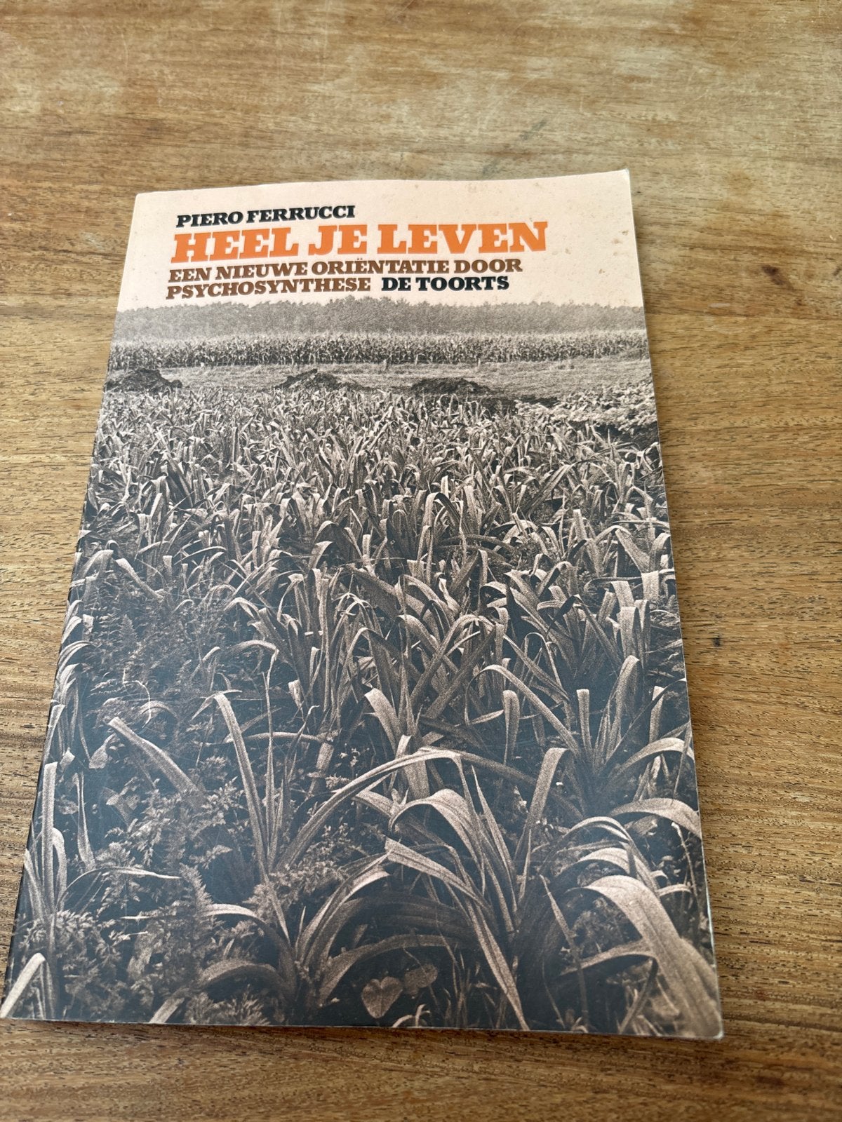 Heel je leven - Piero Ferrucci (Psychosynthese), Ophalen of Verzenden, Gelezen, Overige onderwerpen