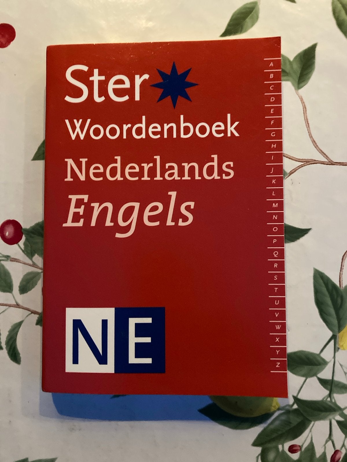 aa Ster woordenboek Nederlands-Engels, Boeken, Woordenboeken, Overige uitgevers, Ophalen of Verzenden, Zo goed als nieuw, Engels