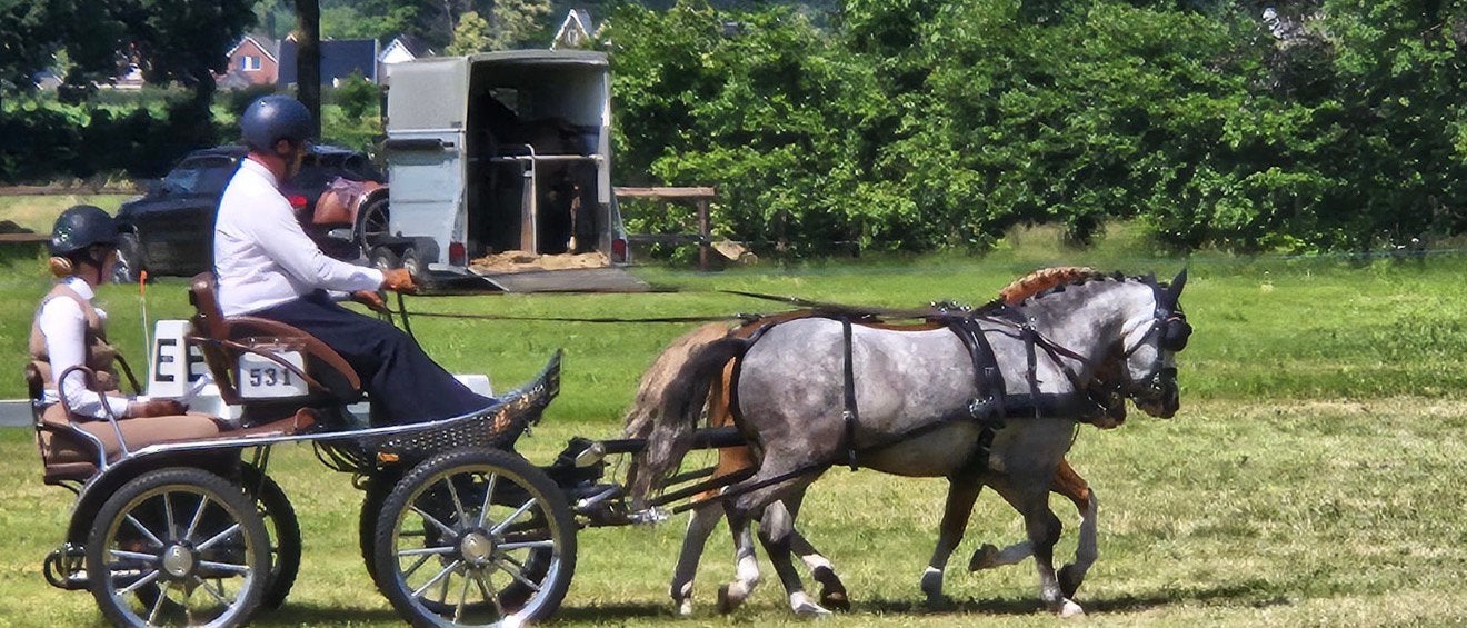 Ervaren men pony, Dieren en Toebehoren, Ruin, B pony (1.17m tot 1.27m), Ontwormd, 3 tot 6 jaar