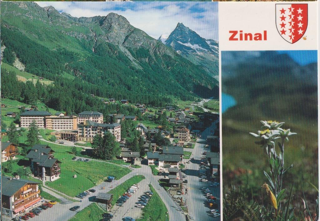 Zwitserland 1999 Station Le Besso Zinal Alpenbloemen, Verzenden, 1980 tot heden, Gelopen, Overig Europa