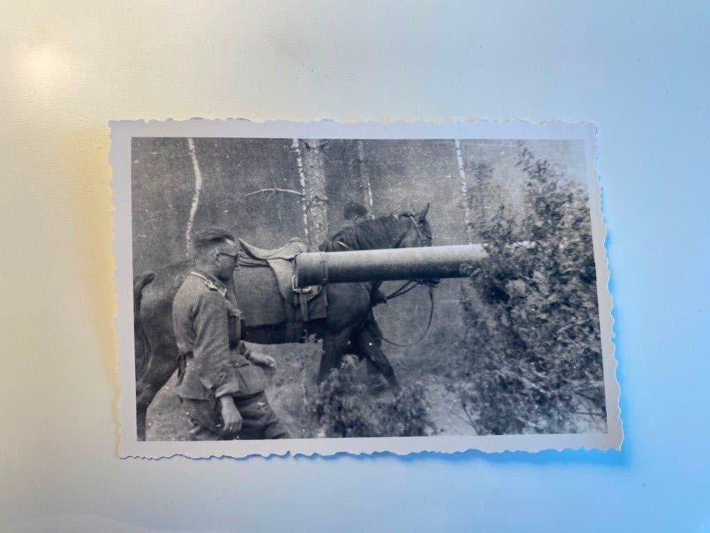 WO2 Foto – Duitse Soldaat met Paard bij Tankloop / Geschut, Verzamelen, Ophalen of Verzenden, Nederland, Foto of Poster