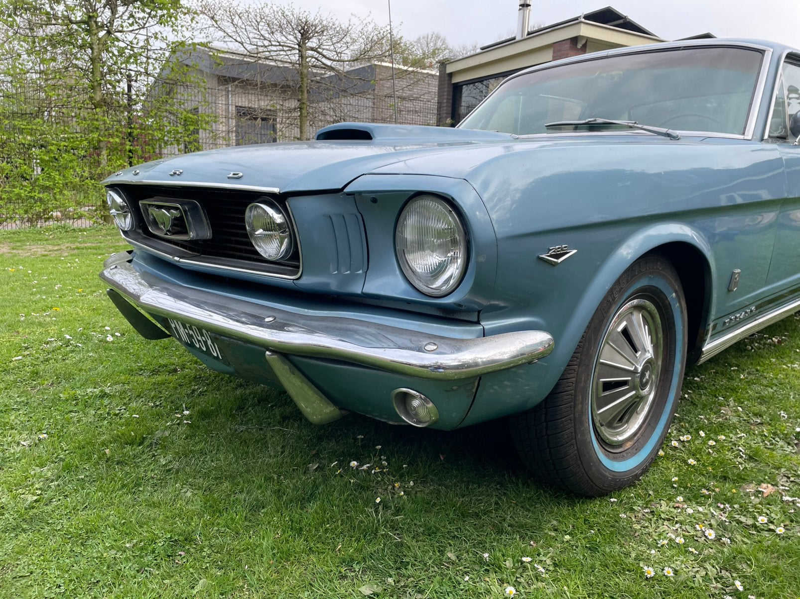 Ford 1966 Blauw, Auto's, Achterwielaandrijving, Particulier, Mustang, Blauw