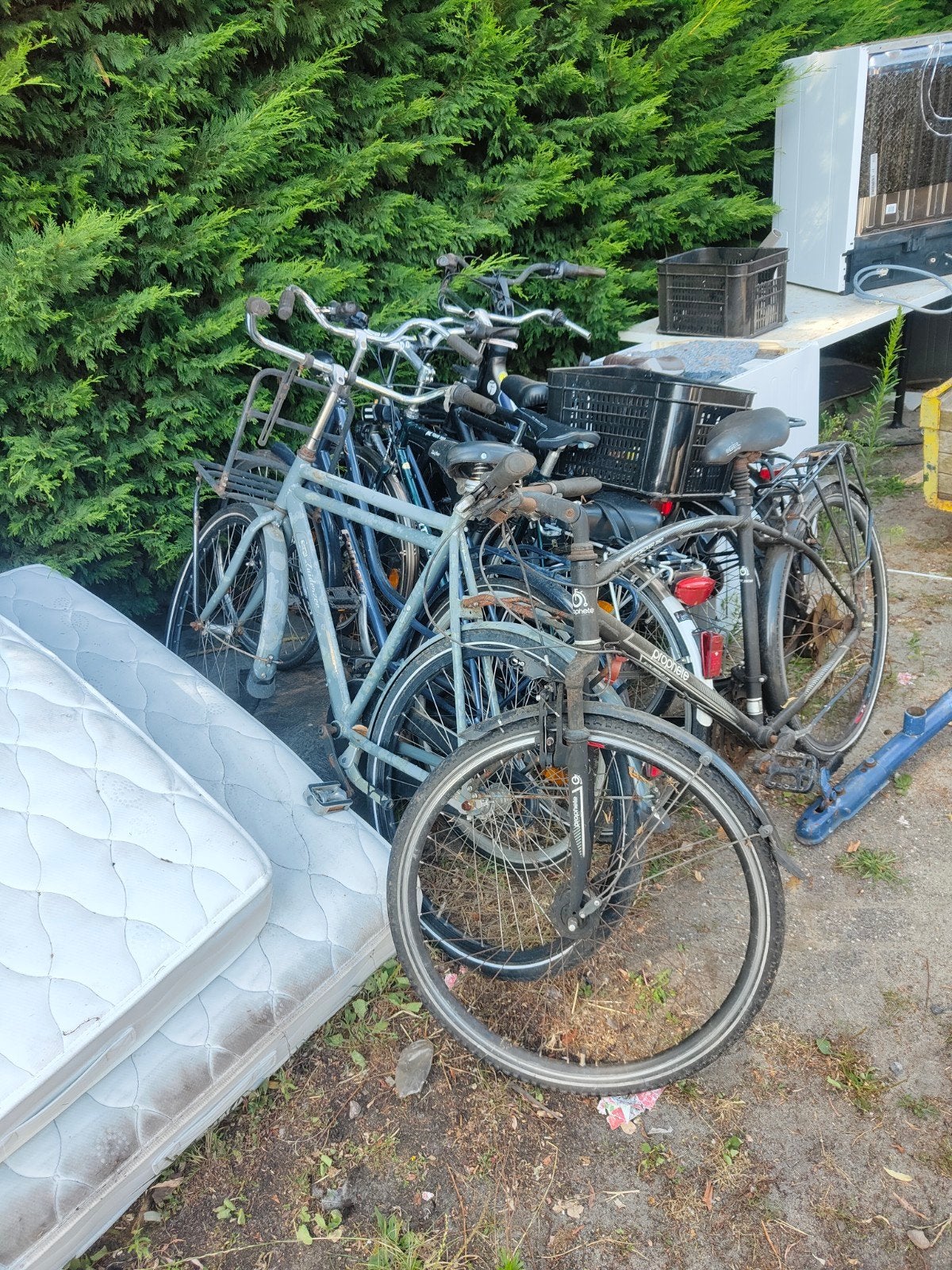 Fietsen, Ophalen, Gebruikt, Sparta