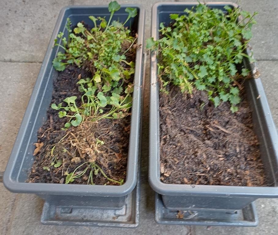 2x Geli plantenbak + onderzetter 40 cm, Ophalen, Kunststof, Gebruikt, Minder dan 30 cm